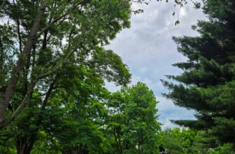 The Little Issues Publication #474 – Life, laughter, and many nice meals!