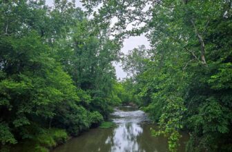 The Little Issues Publication #478 – Life, laughter, a lot of nice meals!