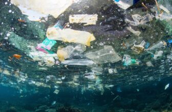 Main Plastics Treaty Ends in Failure