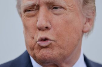 Trump Admin Has Dropped a Third of All Investigations Into Massive Tech, Advocates Say