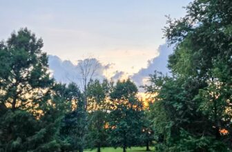 The Little Issues Publication #488 – Life, laughter, and plenty of nice meals!