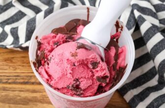 Cranberry Ice Cream – Barefeet within the Kitchen