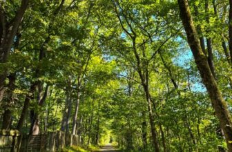 The Little Issues Publication #489 – Life, laughter, and plenty of nice meals!