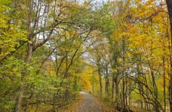 The Little Issues E-newsletter #492 – Life, laughter, and plenty of nice meals!