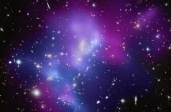 This May Be the Greatest Factor within the Universe That Spins