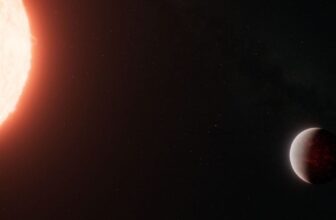 This ‘Moist Lava Ball’ in Area By some means Clings to an Environment