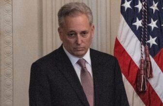 438 Causes to Doubt that David Sacks Ought to Work for the Federal Authorities