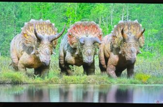 This LG TV is huge on vivid colours however lacks particulars at midnight